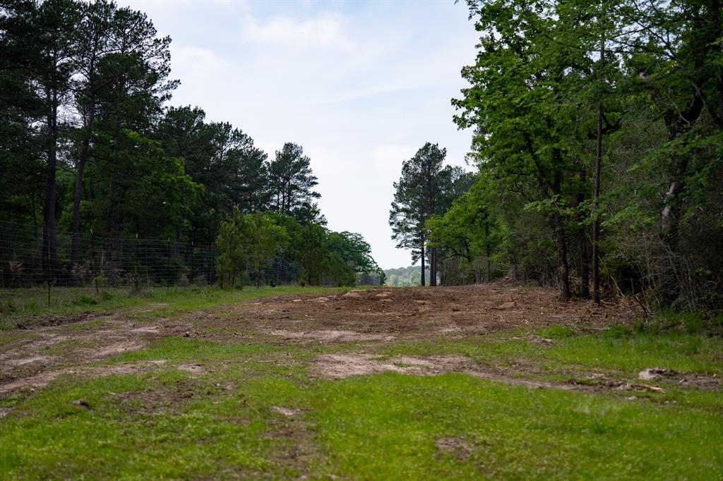 TBD County Road 152, Bedias, Texas image 25