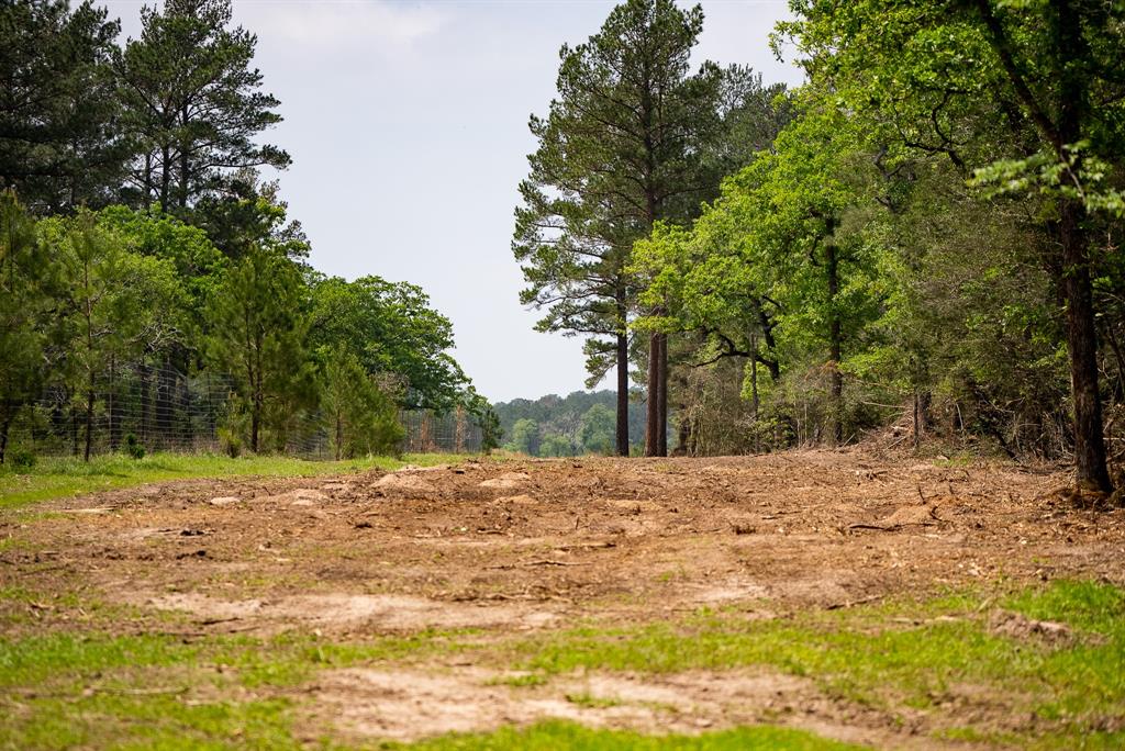 TBD County Road 152, Bedias, Texas image 16