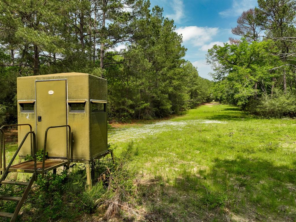 TBD County Road 152, Bedias, Texas image 9