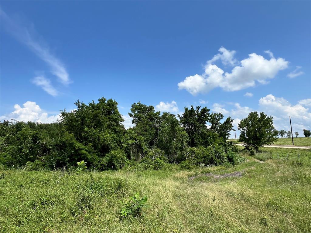 TBD Hwy 290, Burton, Texas image 3