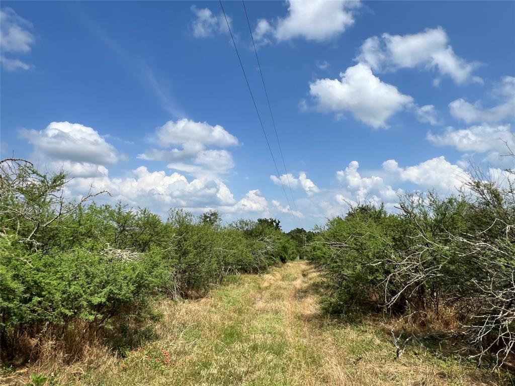 TBD Hwy 290, Burton, Texas image 7