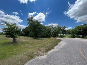 17851 Indian Forest Court, Rosharon, Texas image 4