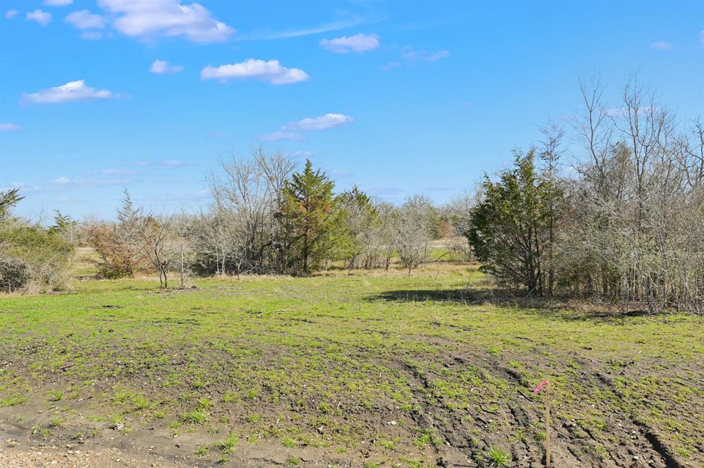 4007 Hollow Court, College Station, Texas image 4