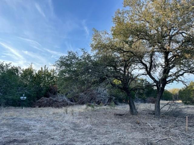 2078 W Ranch Road 962 Lot 40, Round Mountain, Texas image 9