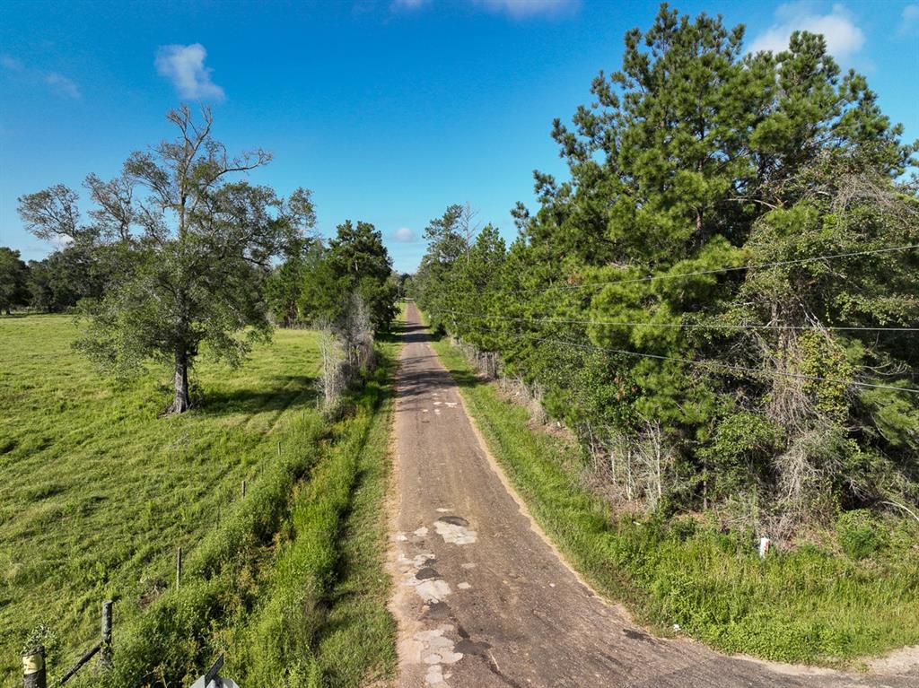 6 Fm 1013, Cr 517, Kirbyville, Texas image 15