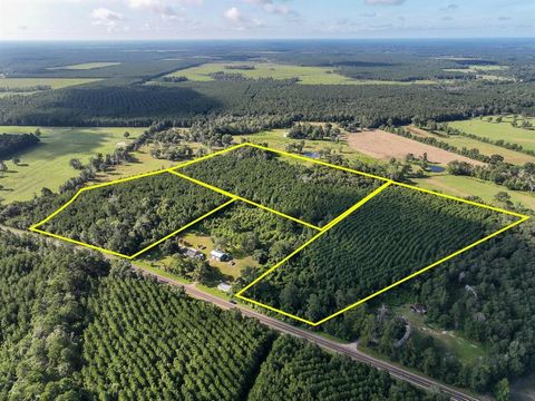 Photo of 6 Fm 1013, Cr 517, Kirbyville, TX 75956 (MLS # 37818391)