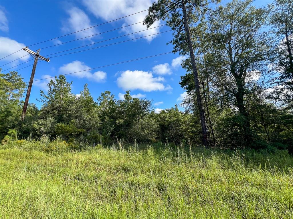 6 Fm 1013, Cr 517, Kirbyville, Texas image 3