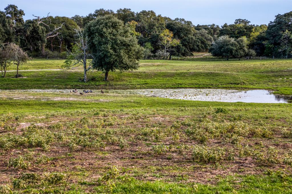 1224 Haines Road, Sheridan, Texas image 46