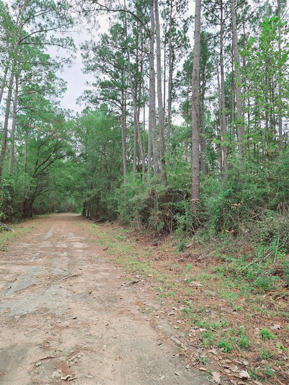 Na Largent Drive, Plantersville, Texas image 1