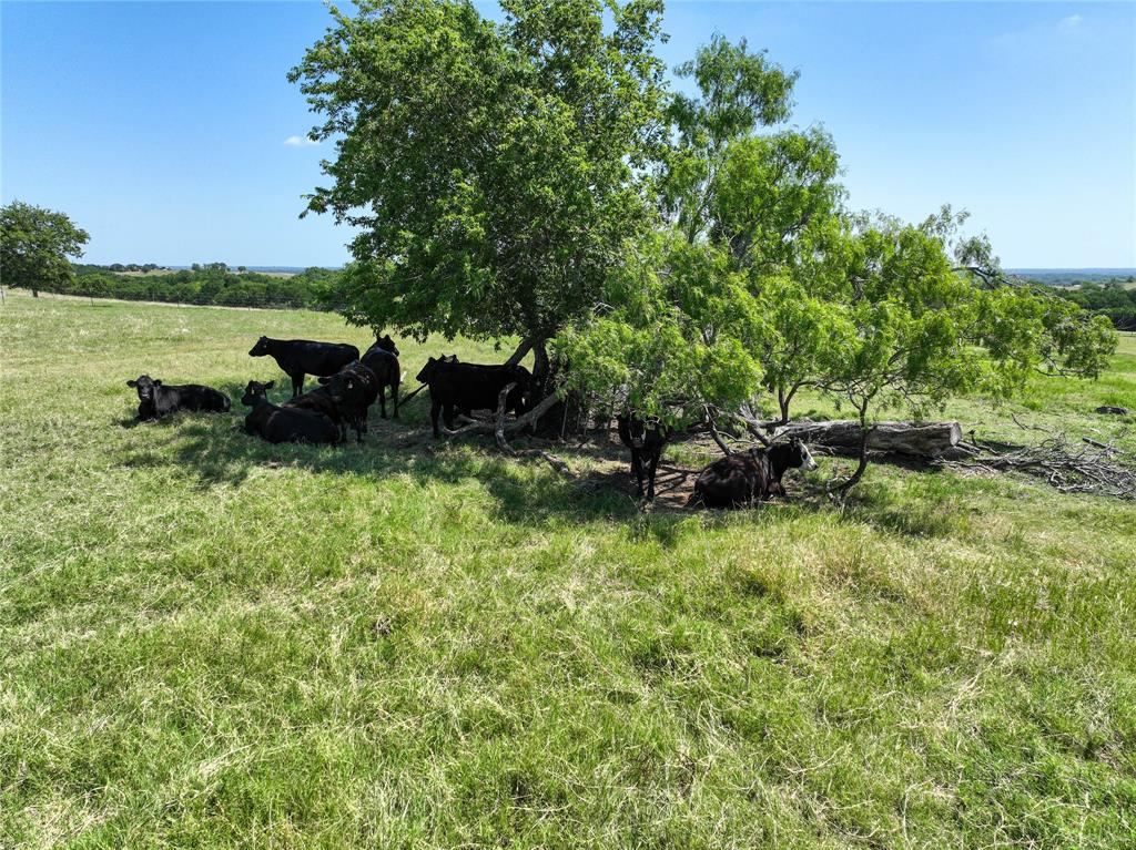 TR 4 Fm 155 Road, Weimar, Texas image 14