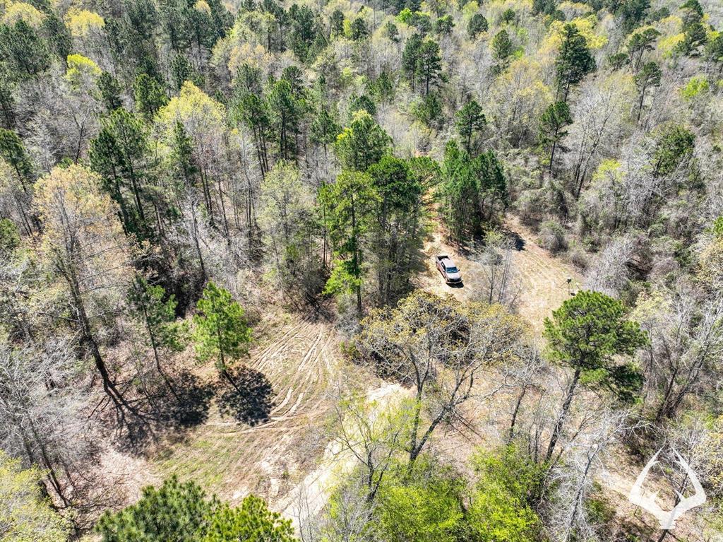 TBD 3 County Road 435 D, Laneville, Texas image 36