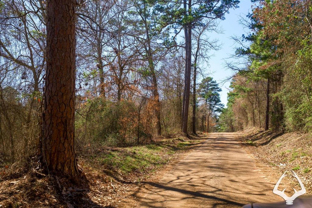 TBD 3 County Road 435 D, Laneville, Texas image 39