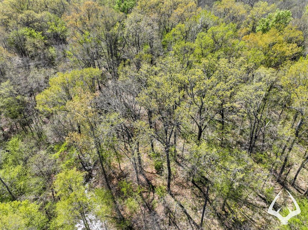 TBD 3 County Road 435 D, Laneville, Texas image 37