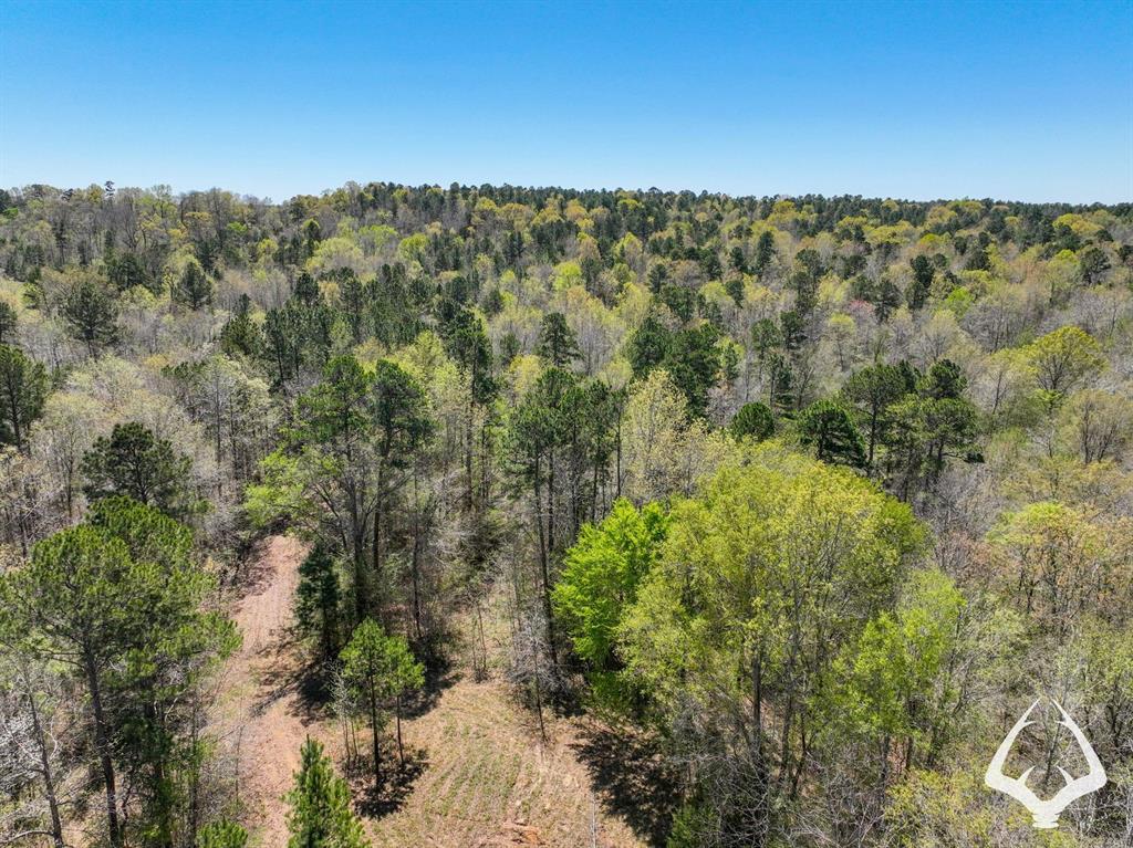 TBD 3 County Road 435 D, Laneville, Texas image 20