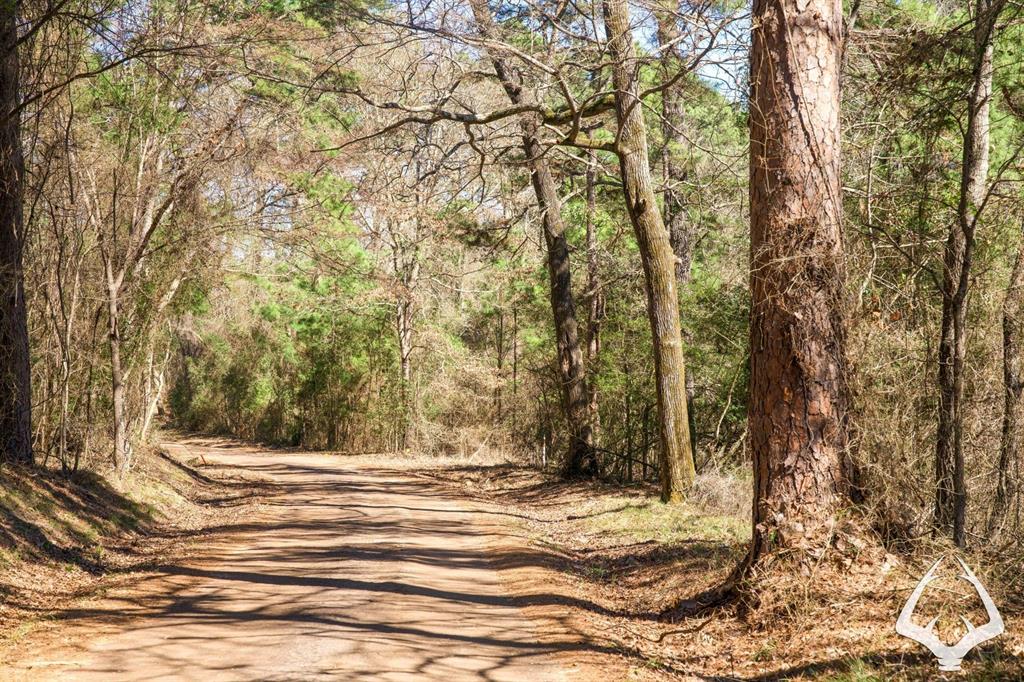 TBD 3 County Road 435 D, Laneville, Texas image 8