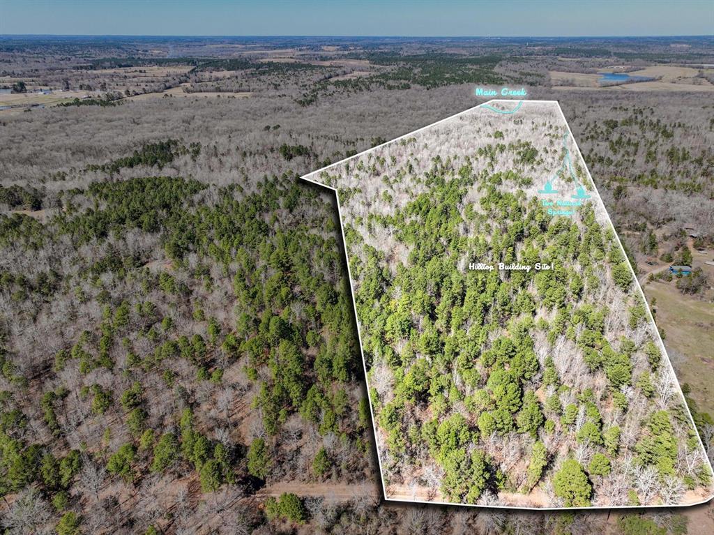 TBD 3 County Road 435 D, Laneville, Texas image 2