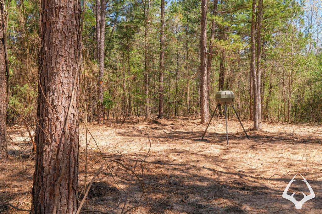 TBD 3 County Road 435 D, Laneville, Texas image 10