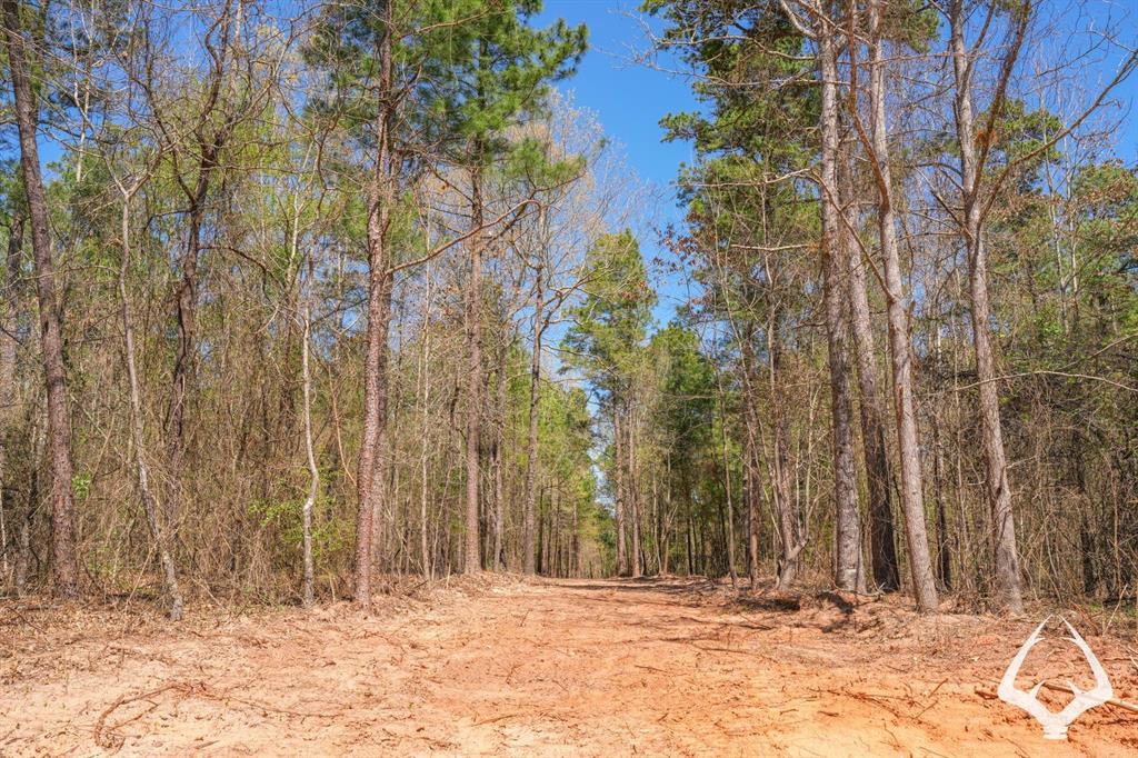 TBD 3 County Road 435 D, Laneville, Texas image 32