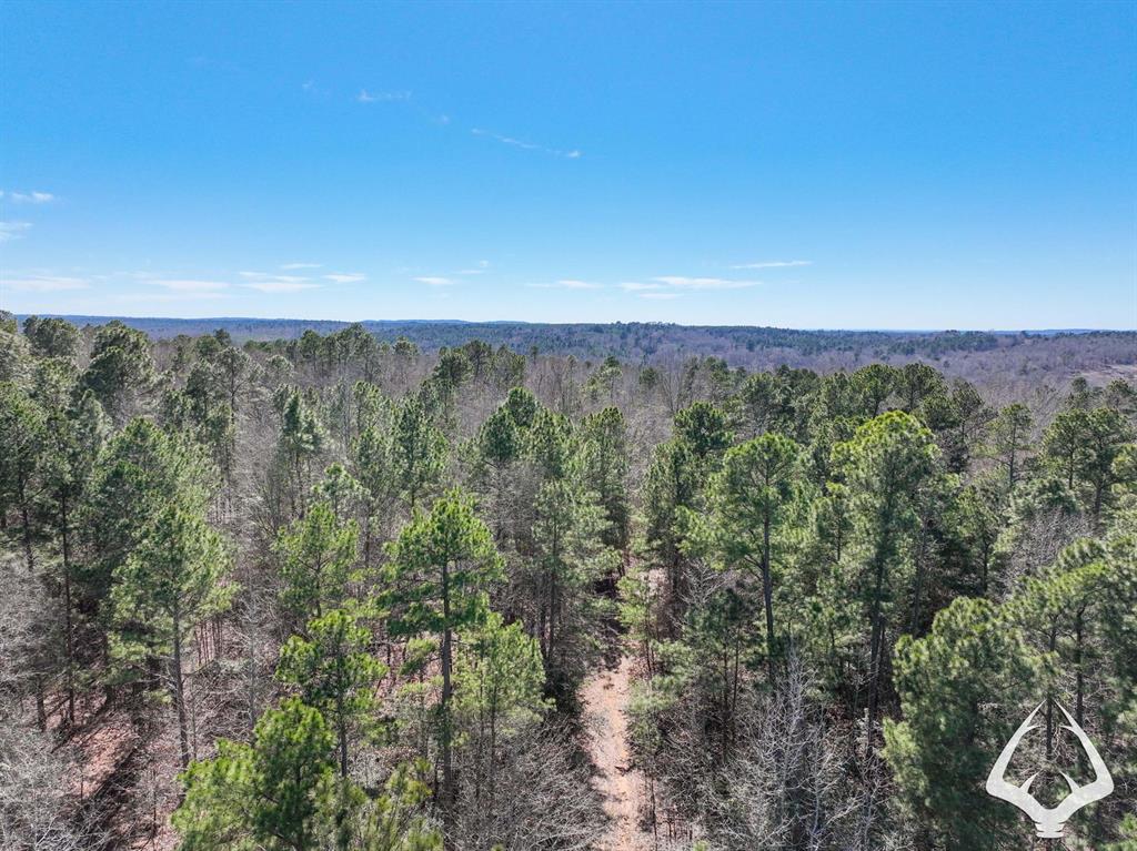 TBD 3 County Road 435 D, Laneville, Texas image 6