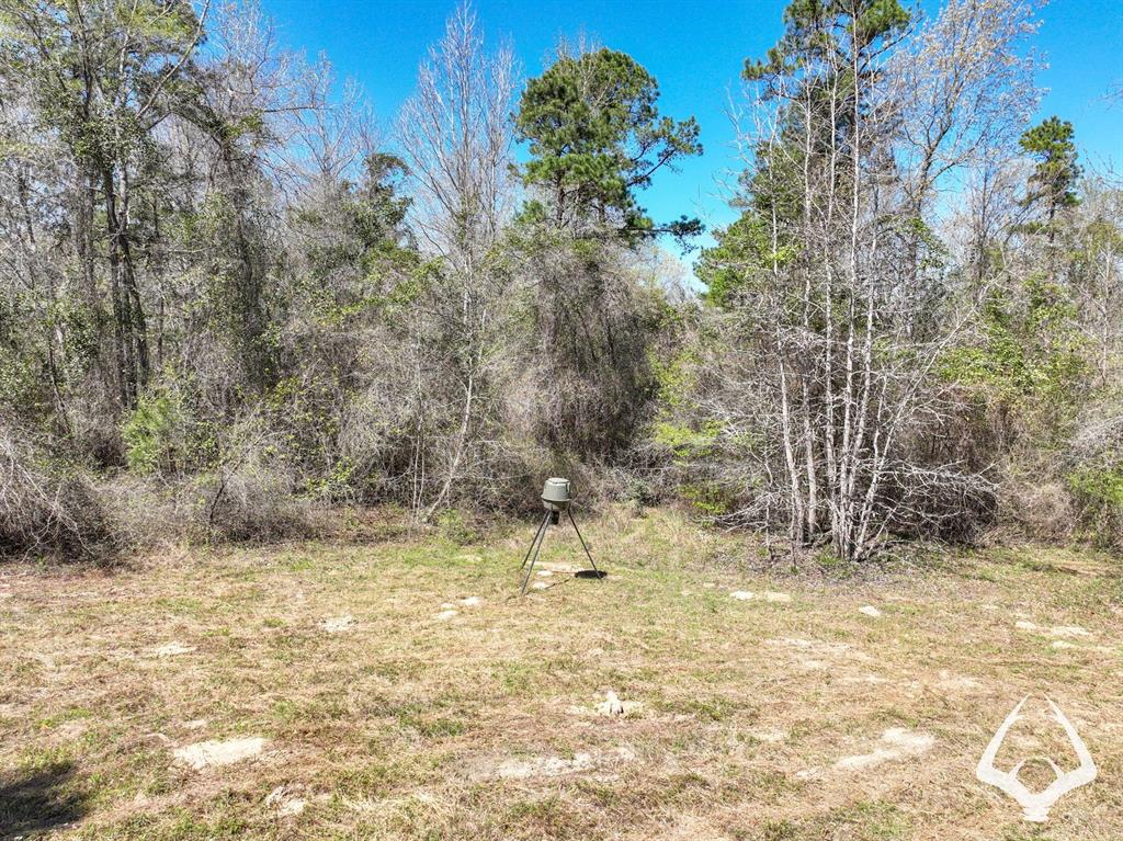 TBD 3 County Road 435 D, Laneville, Texas image 48