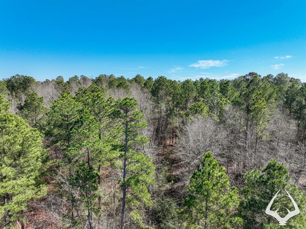 TBD 3 County Road 435 D, Laneville, Texas image 19