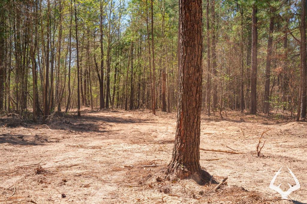 TBD 3 County Road 435 D, Laneville, Texas image 31