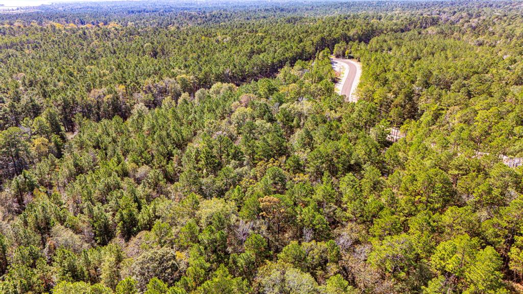 031 King Ranch Road South Road, Onalaska, Texas image 12