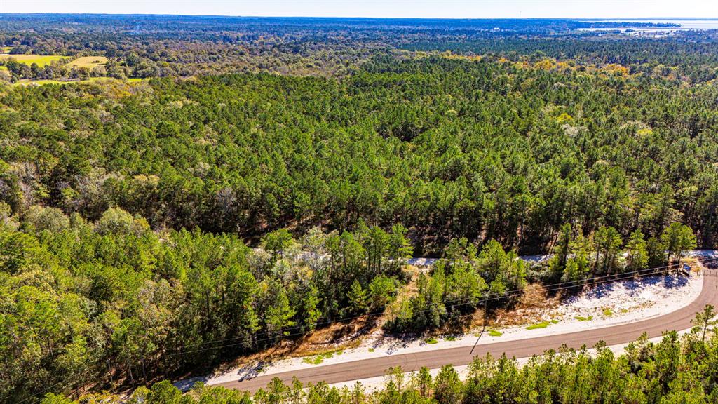 031 King Ranch Road South Road, Onalaska, Texas image 9