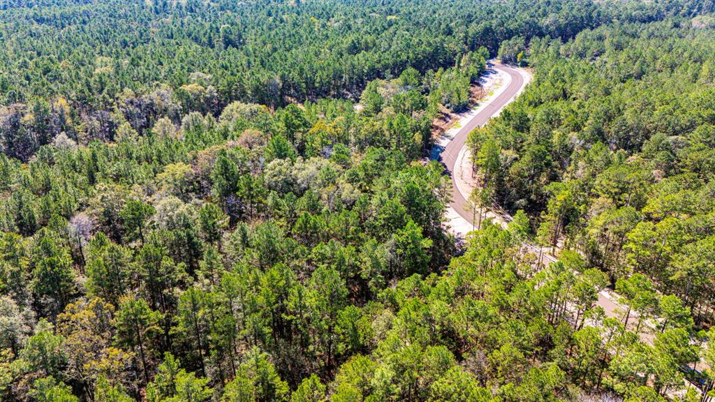 031 King Ranch Road South Road, Onalaska, Texas image 11