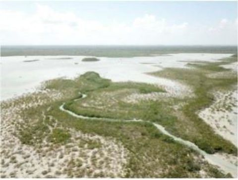 19.75 Acres Ocean Front-Lagoon Front Corozal Free Zone   99999