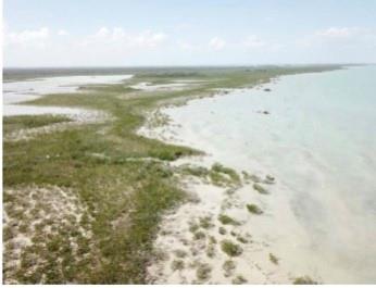 19.75 Acres Ocean Front-Lagoon Front Corozal Free Zone