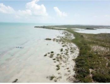 19.75 Acres Ocean Front-Lagoon Front Corozal Free Zone