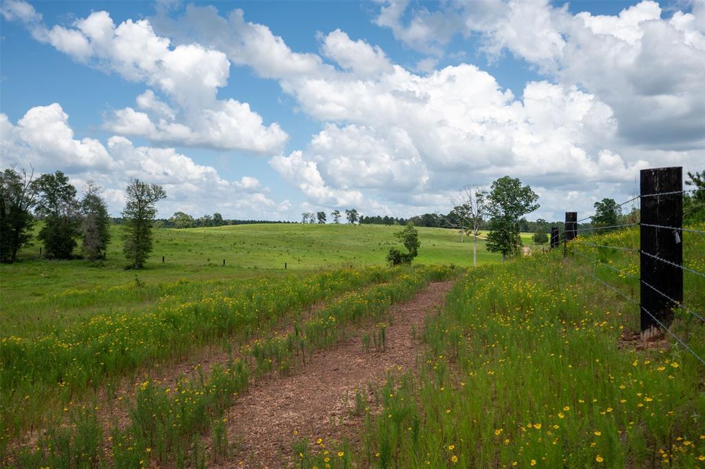 540 County Road 1125, Woodville, Texas image 4