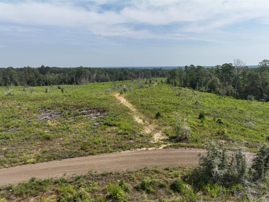 1 County Road 3725, Colmesneil, Texas image 9