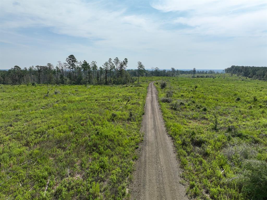 1 County Road 3725, Colmesneil, Texas image 7