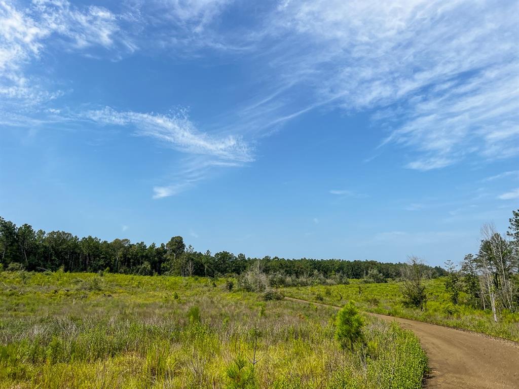 1 County Road 3725, Colmesneil, Texas image 31