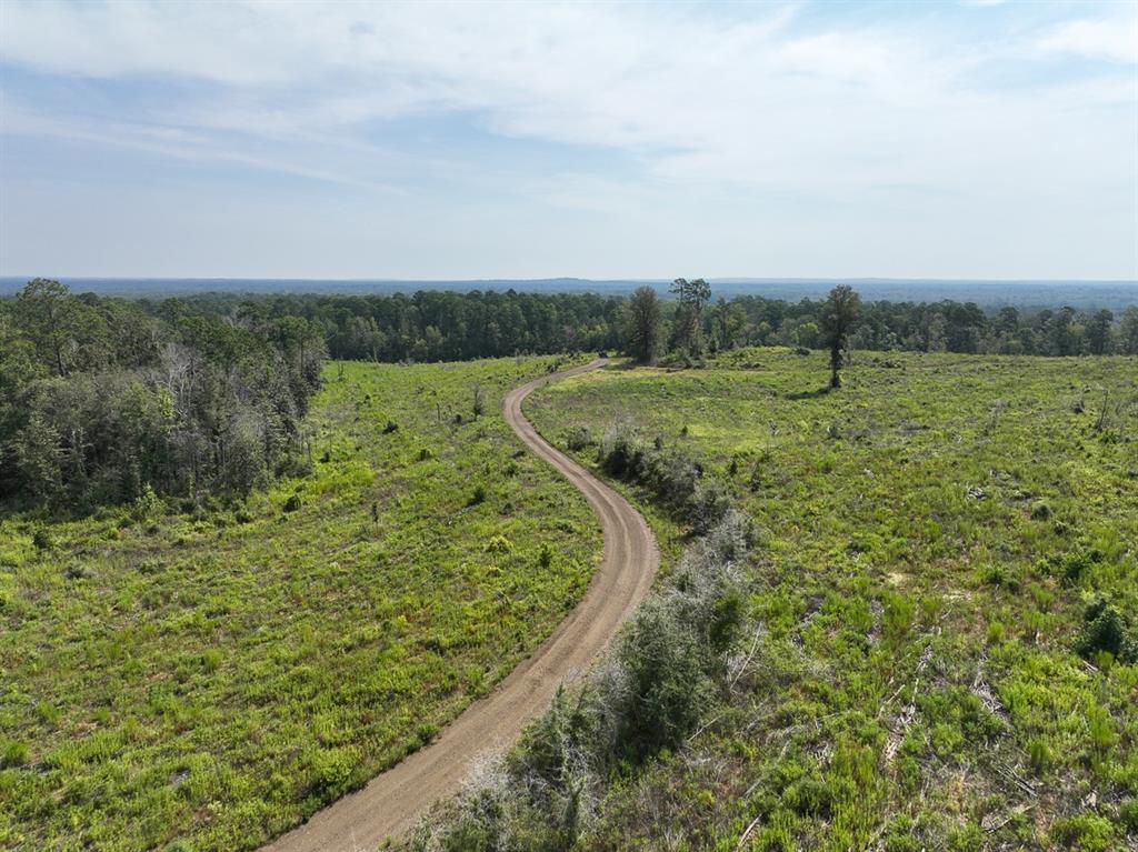 1 County Road 3725, Colmesneil, Texas image 10