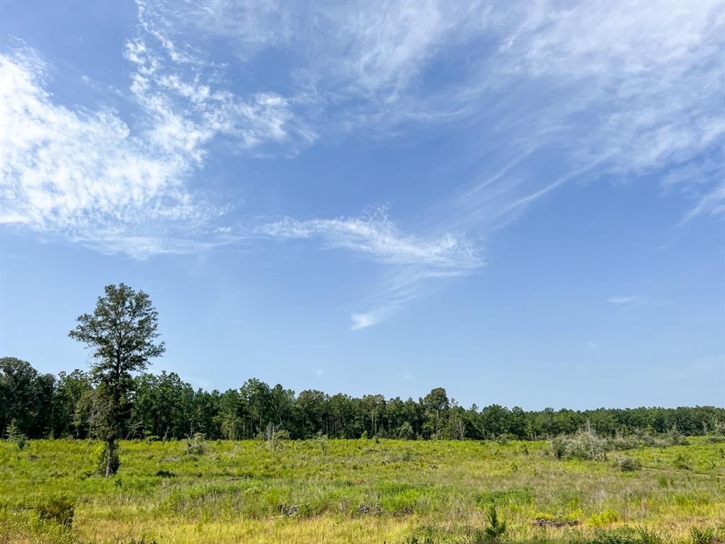 1 County Road 3725, Colmesneil, Texas image 30