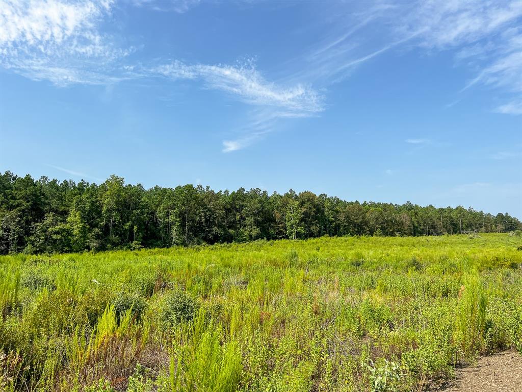 1 County Road 3725, Colmesneil, Texas image 32