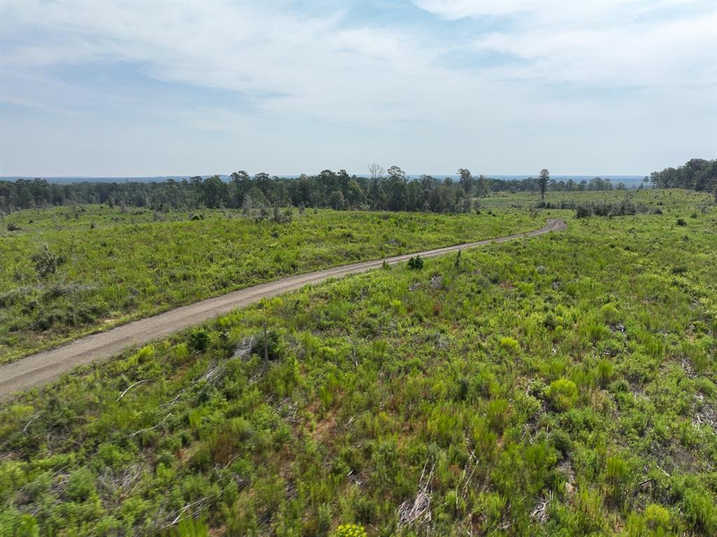 1 County Road 3725, Colmesneil, Texas image 8