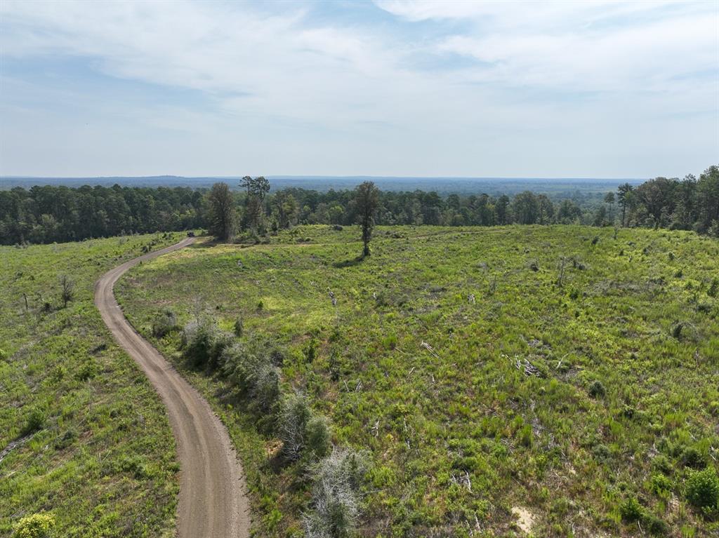 1 County Road 3725, Colmesneil, Texas image 11