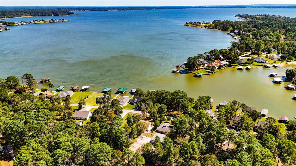 253 Lakefront Drive, Onalaska, Texas image 38