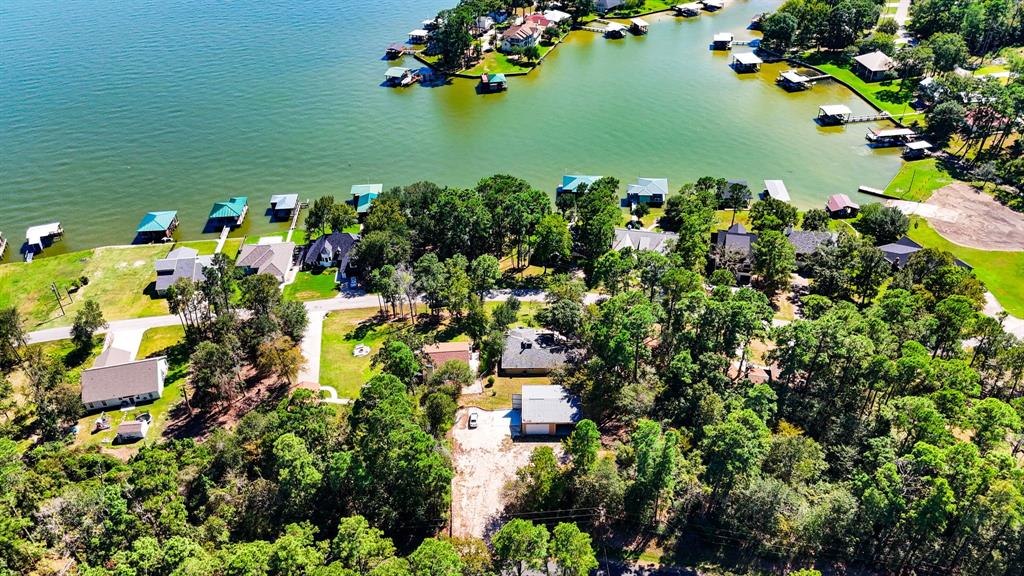 253 Lakefront Drive, Onalaska, Texas image 42