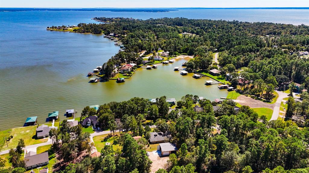 253 Lakefront Drive, Onalaska, Texas image 41