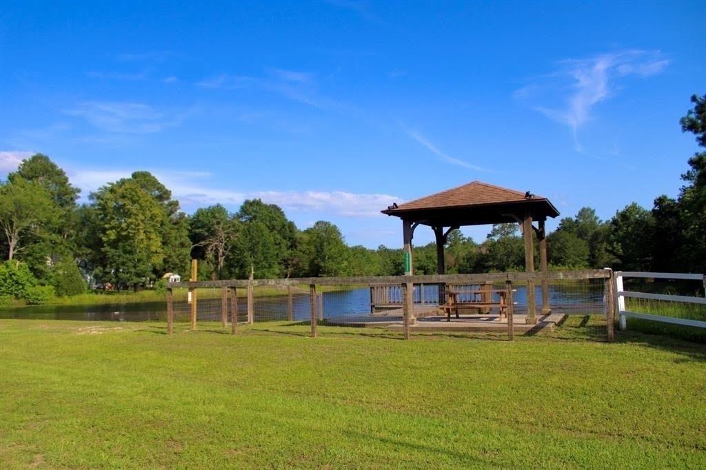 26849 Deerwood Drive, Hempstead, Texas image 2