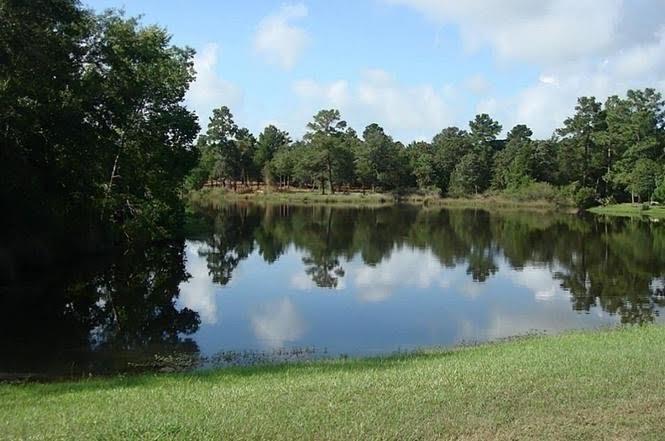 26849 Deerwood Drive, Hempstead, Texas image 3