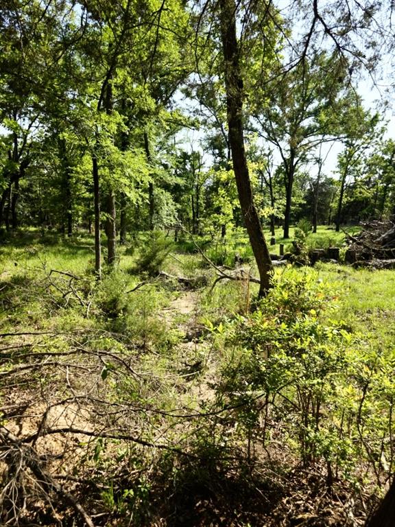 4477 County Road 358, Buffalo, Texas image 28