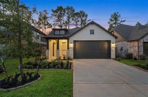 Photo of 707 Lacebark Elm Trail, Willis, TX 77318 (MLS # 9111749)