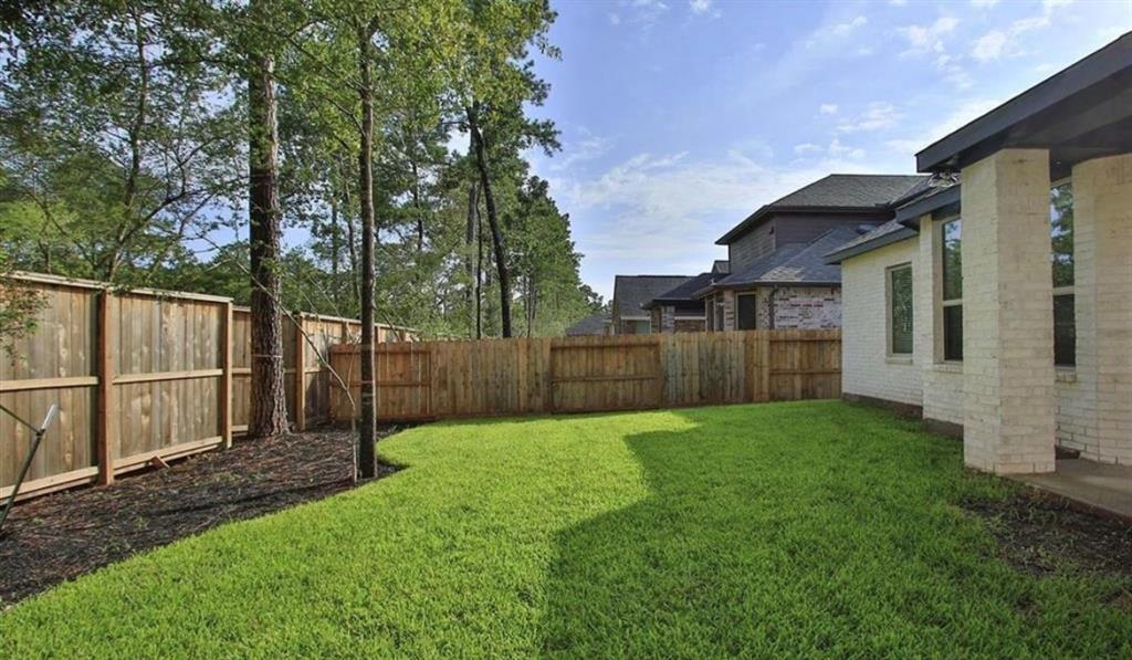 707 Lacebark Elm Trail
