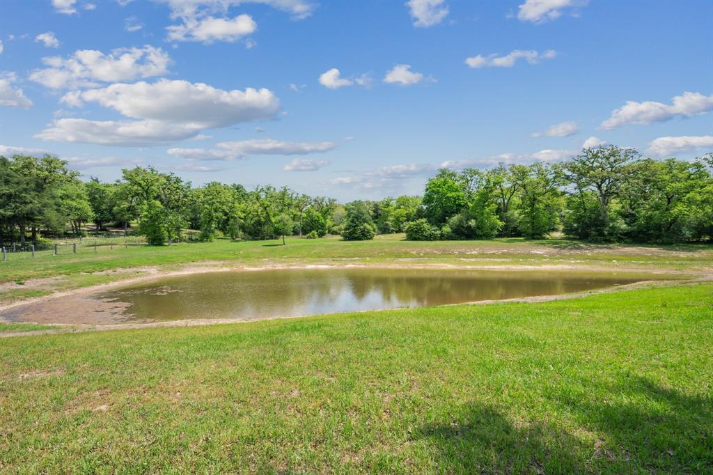 8058 White Tail Trl - 11 Acres Trl, Caldwell, Texas image 3